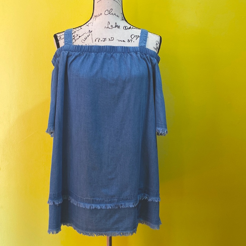 Rafaella Distressed Look Top